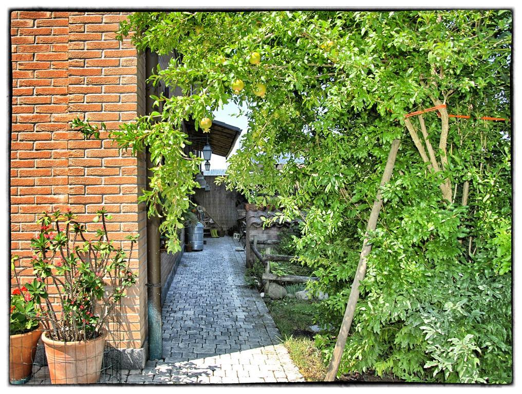 La Corte Del Macero คาสเตลฟรานโก เอมิเลีย ภายนอก รูปภาพ